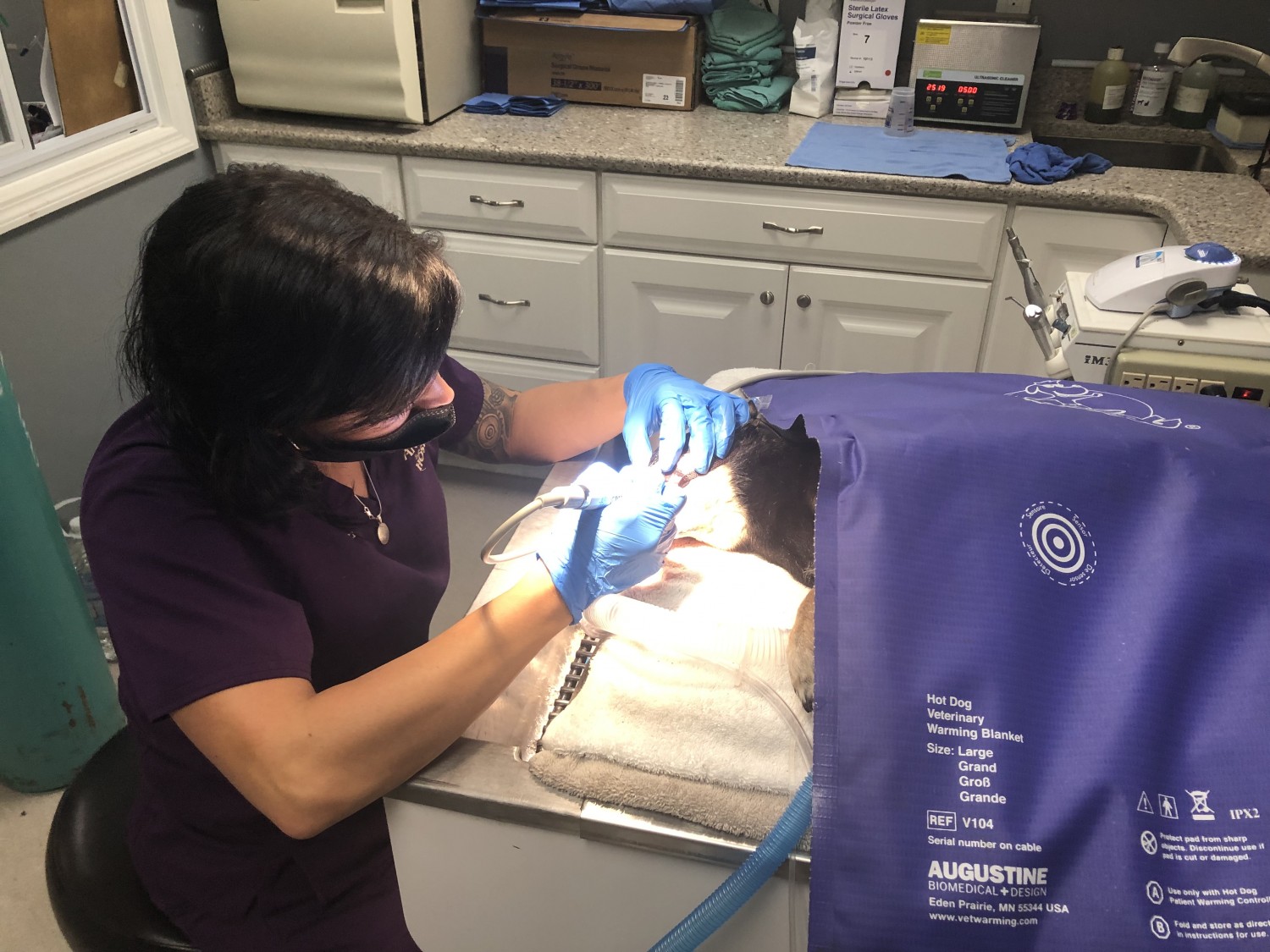 Trenton Animal Hospital, Trenton, FL 32693 Our Doctors